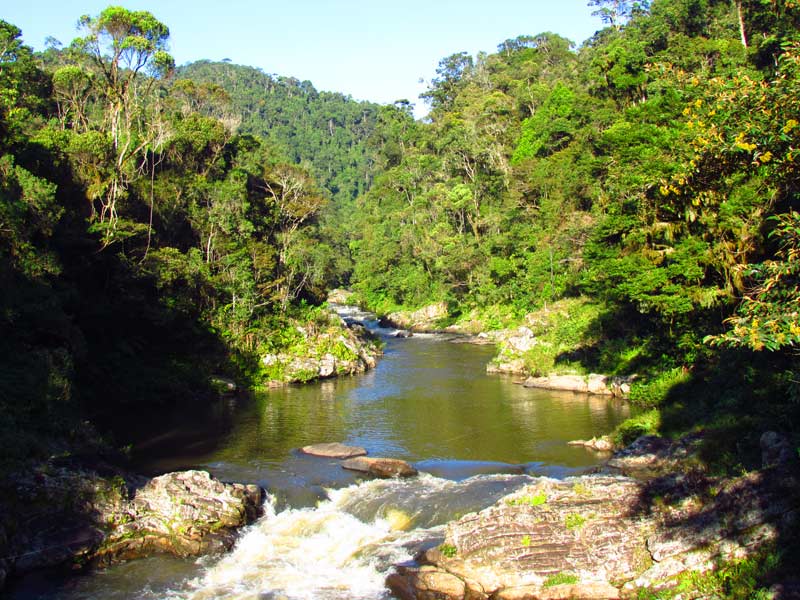 Ranomafana Fluss Madagaskar