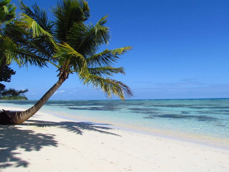 Madagaskar Strand mit Palmen