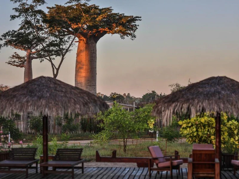Kirindy Lodge Madagaskar