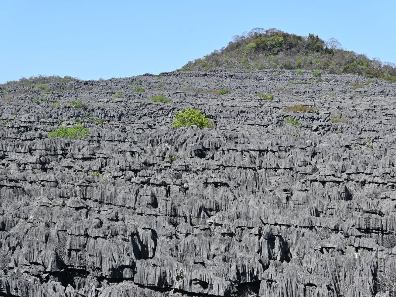 Felsformationen bei Ankarana Madagaskar