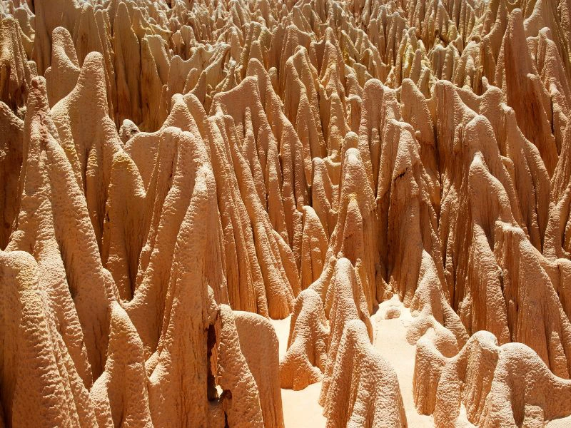 Viele Rote Tsingy Madagaskar