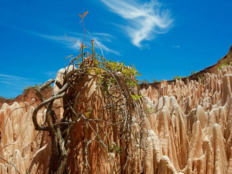 Rote Tsingy mit blauem Himmel Madagaskar