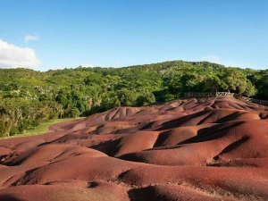 Ausflug Farbenfroher Süden auf Mauritius