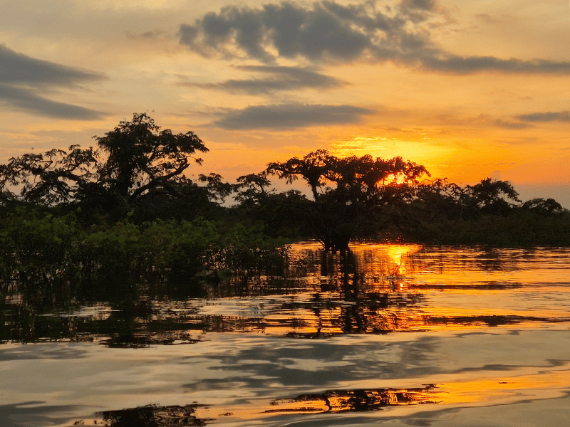 Sonnenuntergang über der großen Lagune im Cuyabeno Reservat