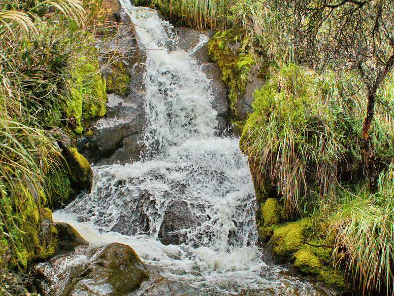 Wasserfall im El Angel Reservat, Ecuador