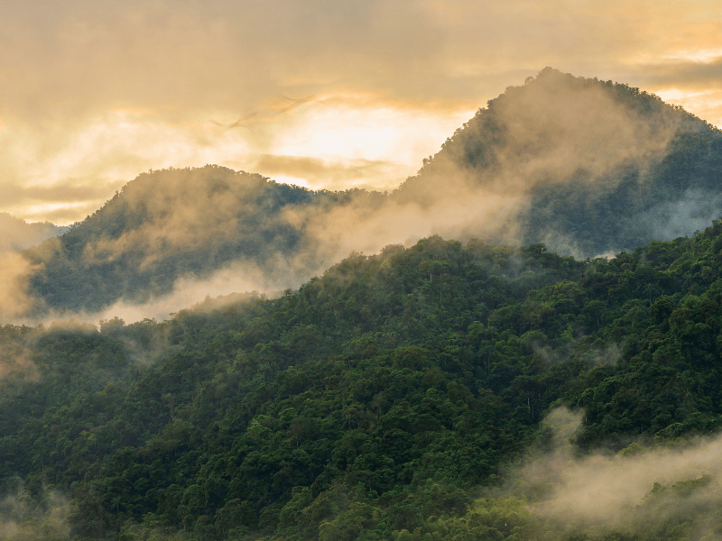 Sonnenuntergang beim Nebelwald bei Mindo in Ecuador