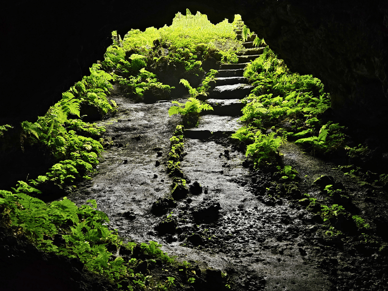 Lavahöhle auf Isabela