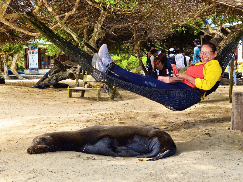 Frau und Seelöwe am Strand von Isabela