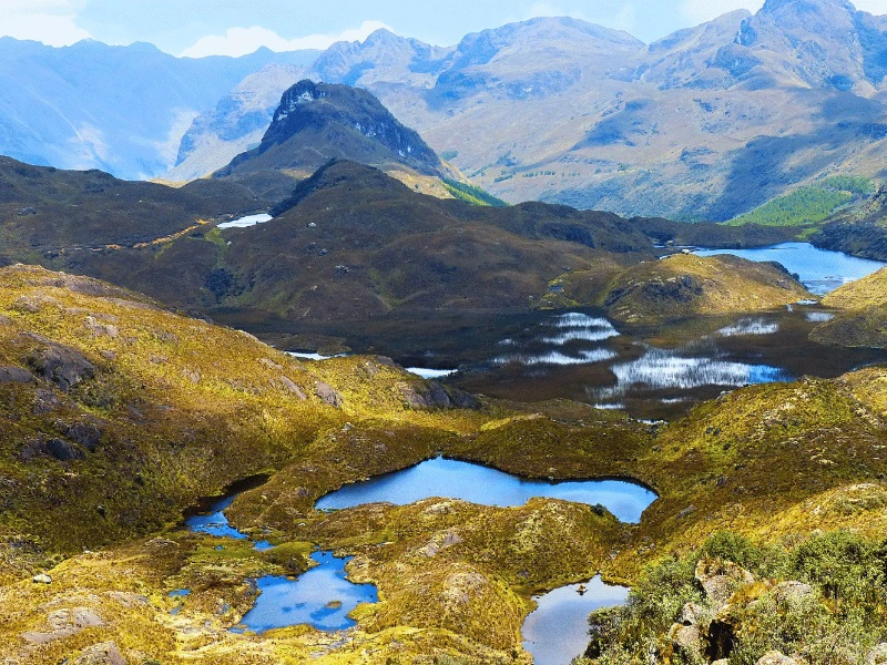 Typische Landschaft im Cajas Nationalpark, Ecuador