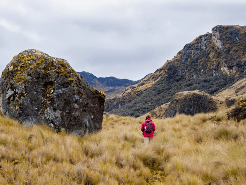 Frau wandert durch den Cajas Nationalpark in Ecuador