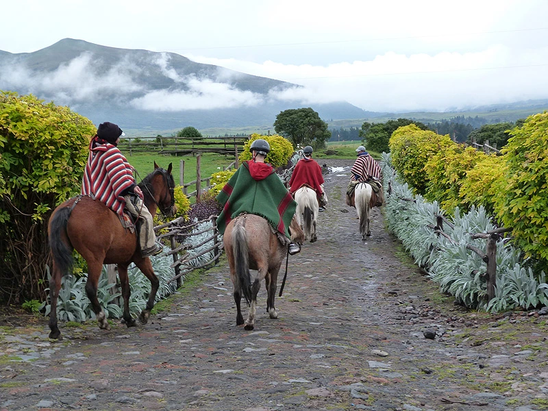 Ecuador Reisen Cotopaxi Reitausflug