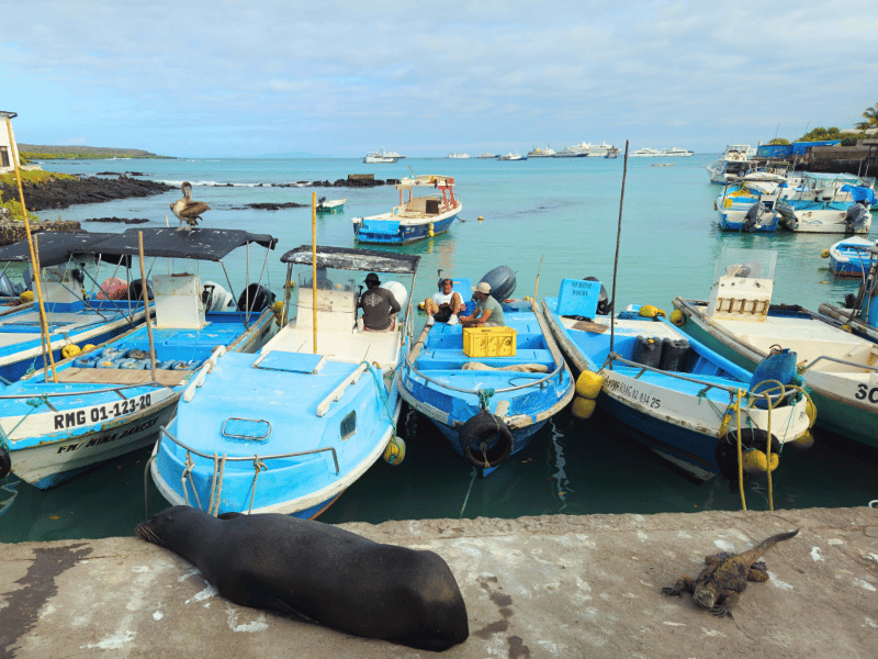 Am Hafen von Puerto Ayora