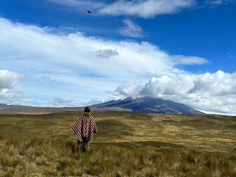 Ausblick auf den Vulkan im Cotopaxi Nationalpark