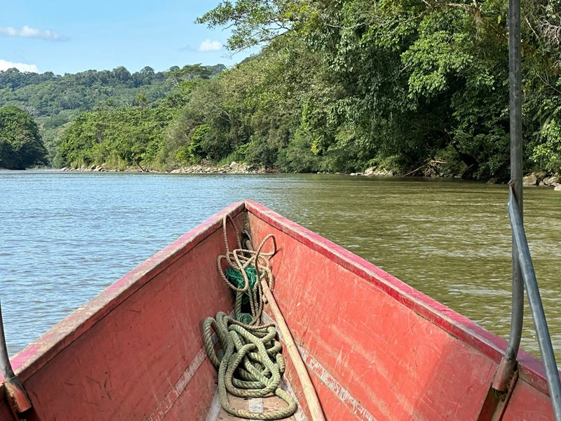 Mit dem Boot ins Amazonas Abenteuer - Ecuador Reisebericht
