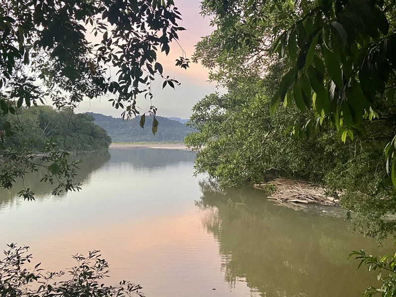 Fluss im Dschungel von Ecuador: Reisebericht