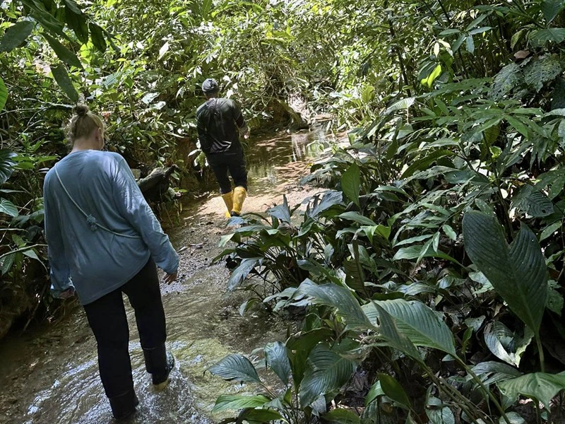 Wanderung im Dschungel Ecuadors