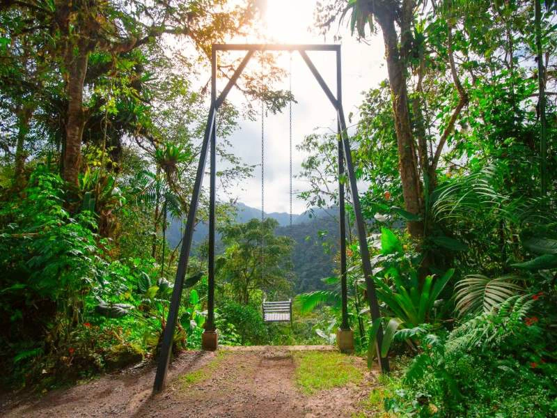 Schaukel in Bellavista, Ecuador