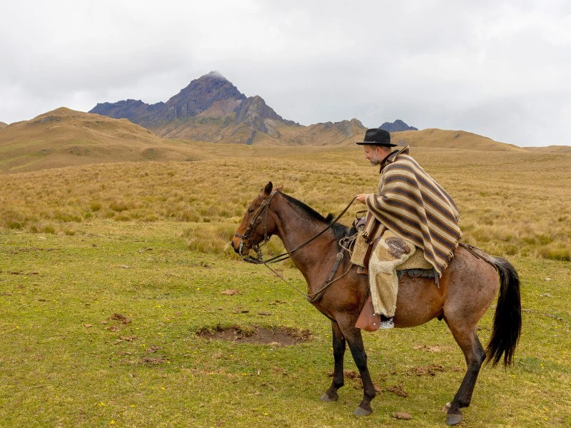 Auf dem Pferd unterwegs am Cotopaxi in Ecuador