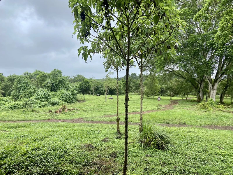Ranch bei El Chato - Galapagos Reisebericht