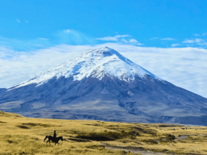 Reiter im Cotopaxi Nationalpark