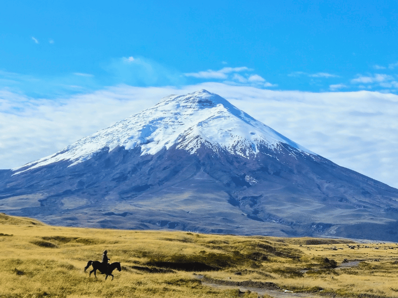 Reiter im Cotopaxi Nationalpark