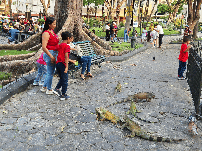Einheimische im Iguana-Park in Guayaquil