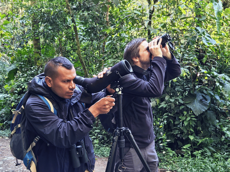 Birdwatching Tour in Mindo