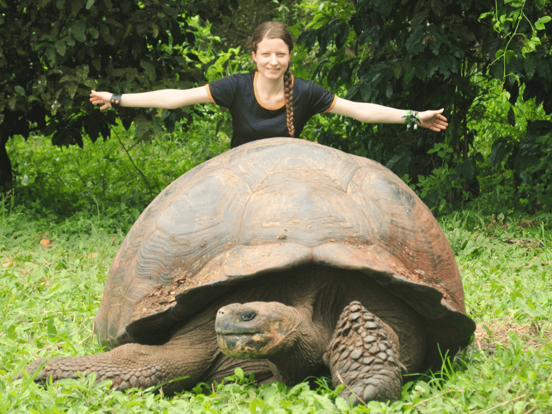 Frau und Riesenschildkröte auf Santa Cruz, Galapagos