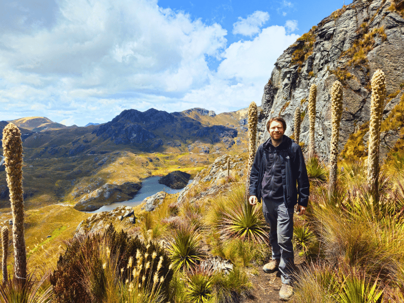 Mann wandert im Cajas Nationalpark in Ecuador
