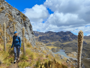 Wanderin im Cajas Nationalpark