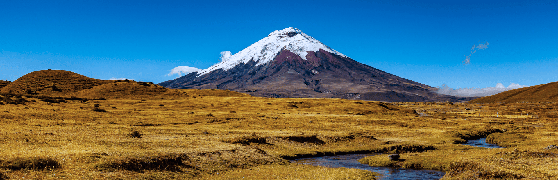 Blick auf den Cotopaxi