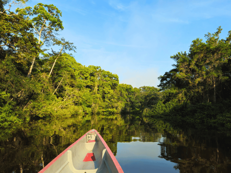 Dschungellodge im Cuyabeno Reservat
