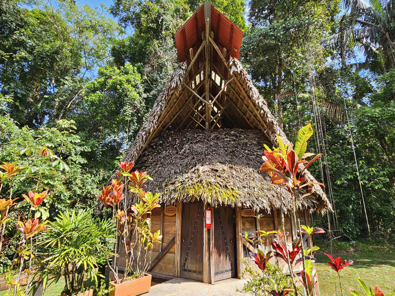 Dschungellodge im Cuyabeno Reservat