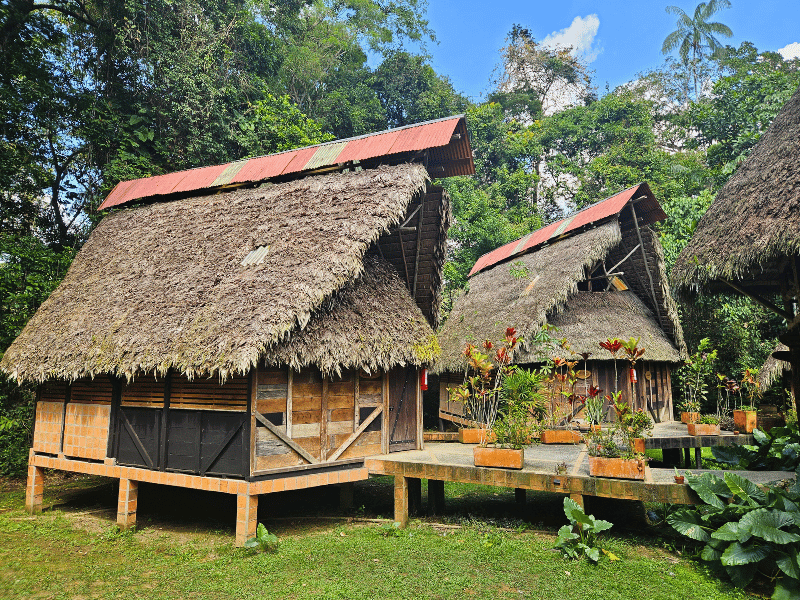 Dschungellodge im Cuyabeno Reservat