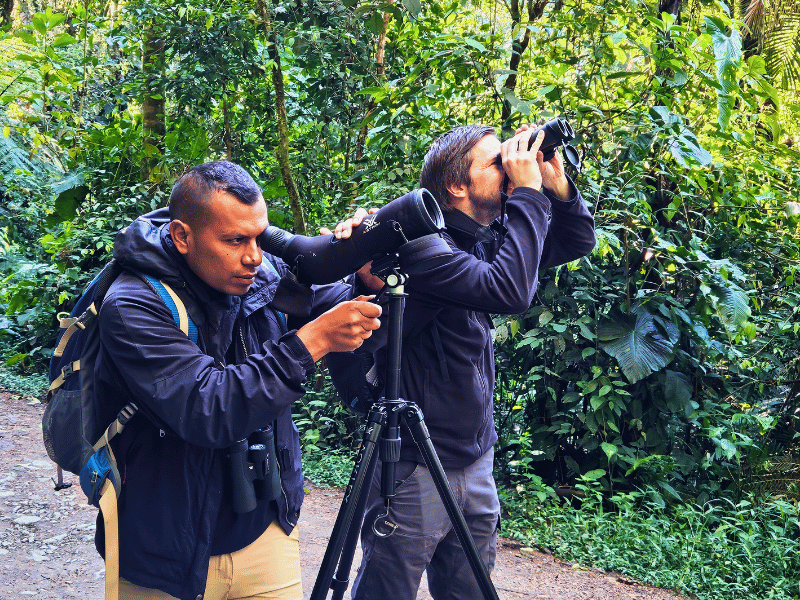 Birdwatching in Mindo in Ecuador