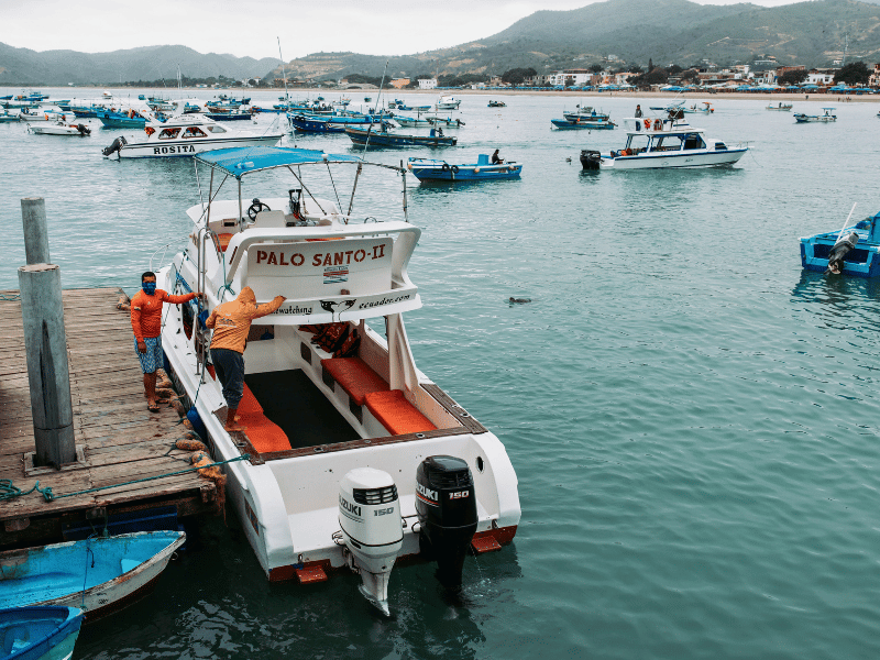 Fischerboote im Hafen von Puerto Lopez, Ecuador