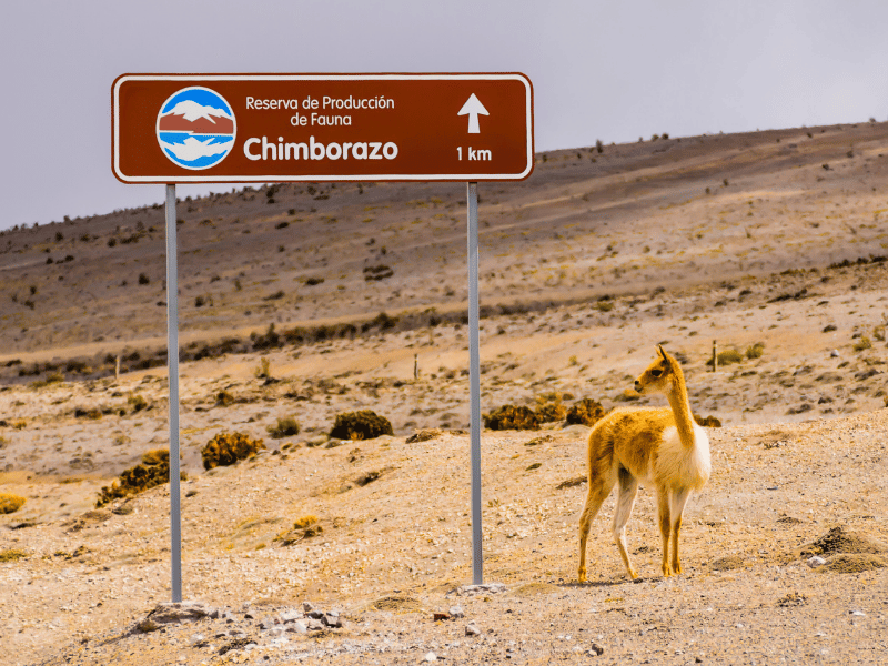 Chimborazo Straßenschild