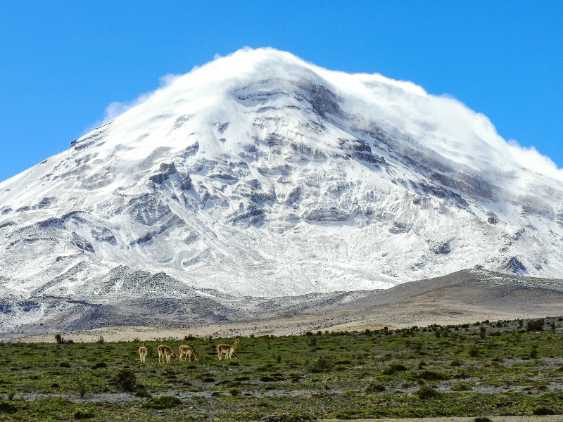 Blick auf den Chimborazo, Ecuador