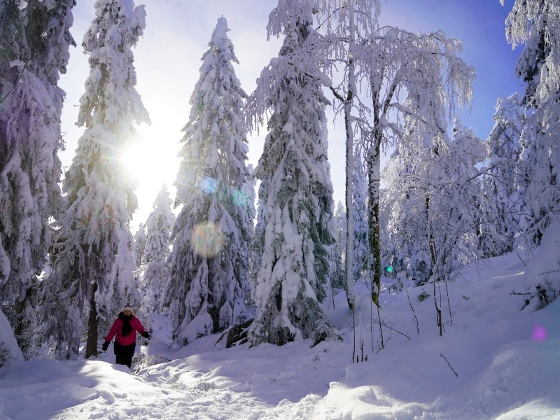 Winterlandschaft in Lappland