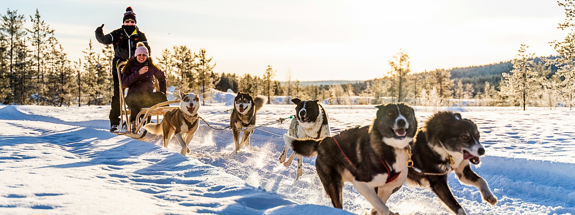 Huskyschlittenfahrt in Lappland