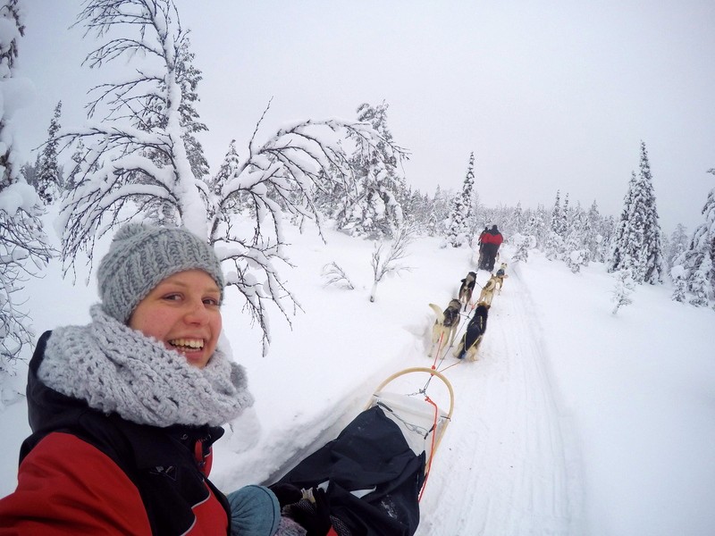 Reisende bei Huskytour in Lappland