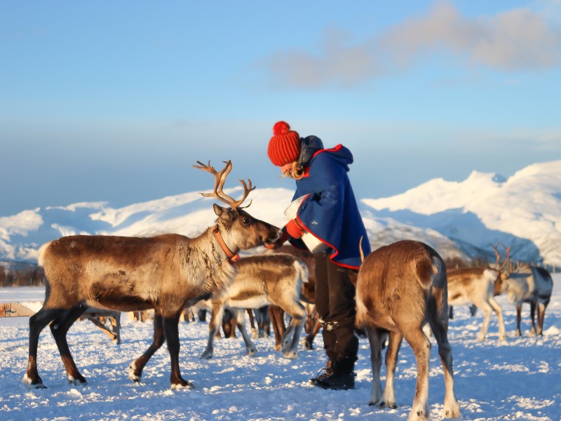 Sami Kultur in Lappland erleben