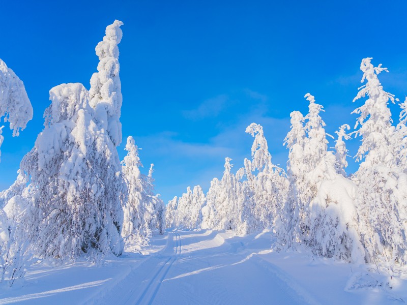 Finnland im Winter