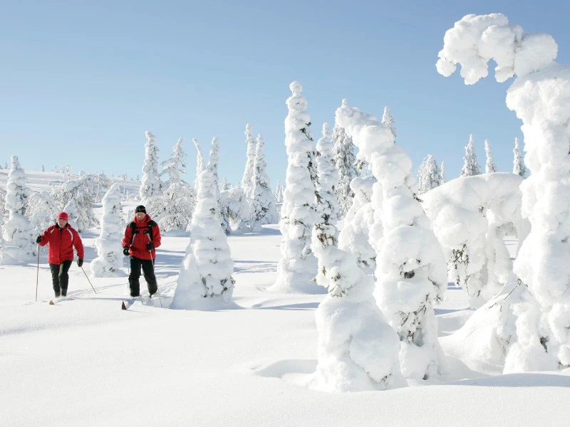 Langläufer im Schnee, Finnland