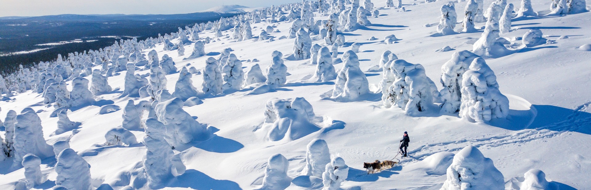 Winterlandschaft bei Äkäslompolo