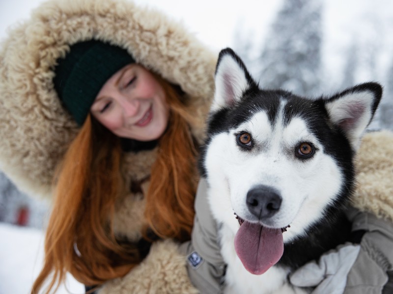 Reisende mit Husky in Ruka, Finnland