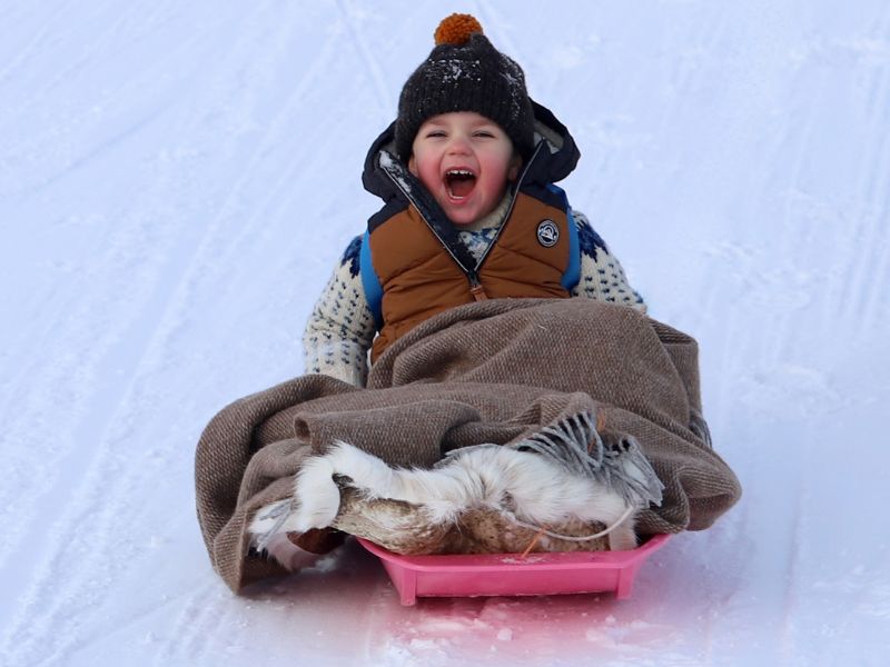 Kind auf dem Schlitten bei Ruka