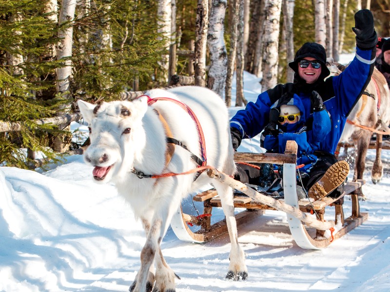 Rentiersafari in Lappland
