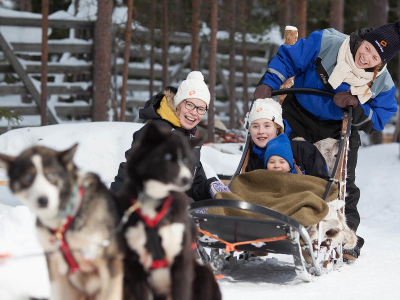 Huskytour für Familien in Lappland