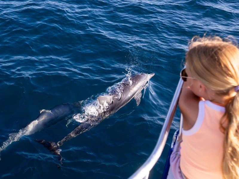 Frau beobachtet vom Boot Delfine im Meer, Spanien